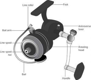How to Take Apart a Spinning Reel  
